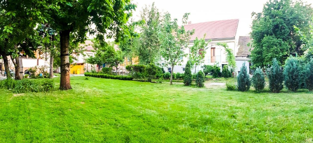 Writer S Street Residence Arad Exteriör bild